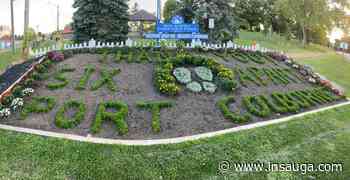 Port Colborne launches new #SupportLocal app for phones - insauga.com