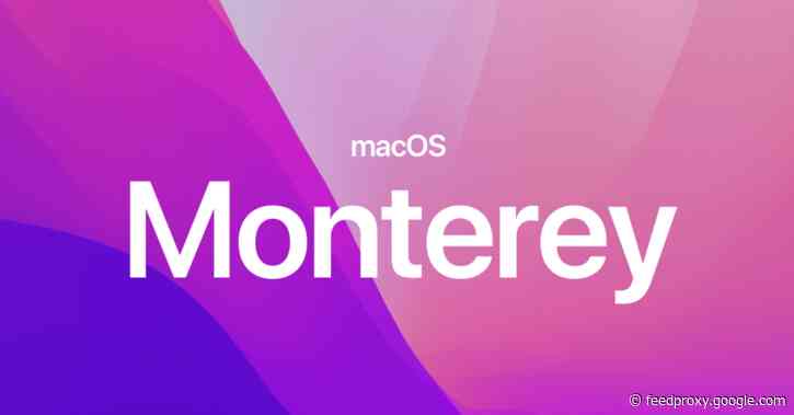 Apple releases new macOS Monterey build for public beta testers with Live Text for Intel Macs