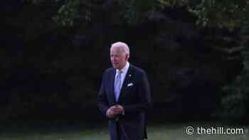 Biden backs effort to include immigration in budget package
