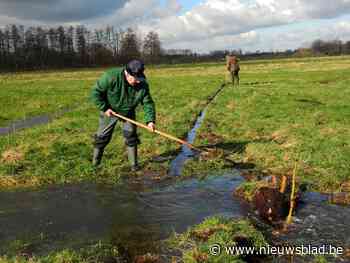 Lommelse vloeiweiden zetten belangrijke stap richting werelderfgoed - Het Nieuwsblad