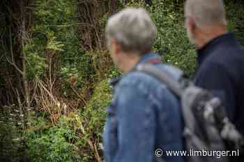Bever houdt huis langs beekje in Thorn: 'Hoeveel het er zijn weet ik niet, maar wat ik wel weet is dat mijn co - De Limburger