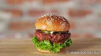 The meat industry says people are being 'misled' into buying plant-based food. The regulator says that's not true