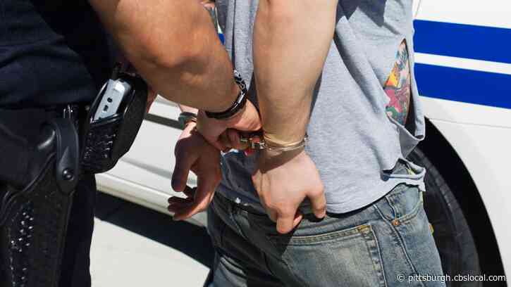Washington County Sheriffs Apprehend Felony Robbery Suspect
