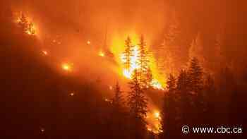 It's not just the smoke — as climate change prompts more wildfires, hidden health risks emerge