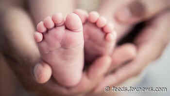 Hero granny catches baby who dangled, fell 15 feet from window