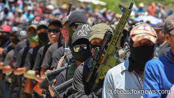 Mexico vigilante group abducts 21, burns homes in raid on town, officials say
