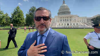 Republicans join 'free Cuba' protesters outside U.S. Capitol: 'Liberty will prevail'