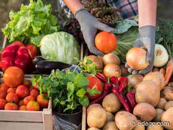 Why brand attachment is more important than brand loyalty or preference: Opinion