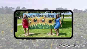 4 Your Weekend: Sunflowers of Sanborn opens