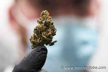 Rhode Island medical marijuana lottery delayed - The Boston Globe