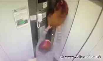 VIDEO: Pet dog almost hanged after its lead got stuck in a lift door