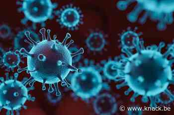 Onderzoekers waarschuwen: 'Net bij hoge vaccinatiegraad neemt kans op resistente virusvariant toe'