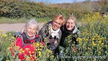 Deutsch-Französische Freundschaft zwischen Marsberg und Lillers hält während Pandemie - sauerlandkurier.de