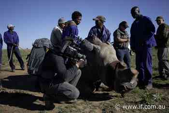 Garth De Bruno Austin's 'The Last Horns of Africa' taken forward in Perth - Inside Film