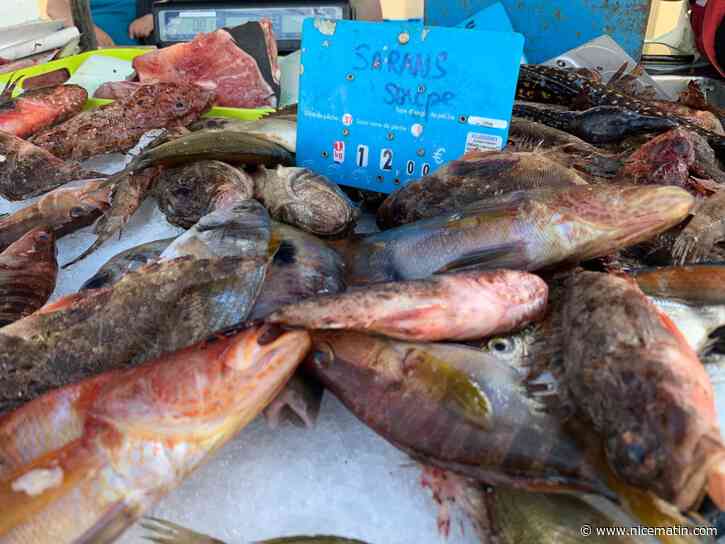 Ces professionnels de la pêche artisanale innovent pour faire valoir leur métier et leur production