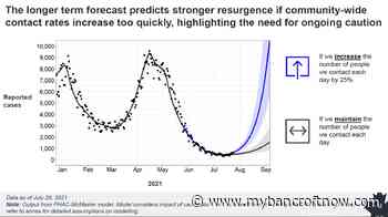Delta-driven COVID-19 resurgence possible in Fall, Dr. Tam