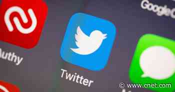 Twitter offers bug bounty to spot and fix AI bias in its algorithms     - CNET