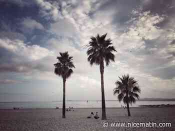 La baignade à nouveau autorisée à Saint-Laurent-du-Var