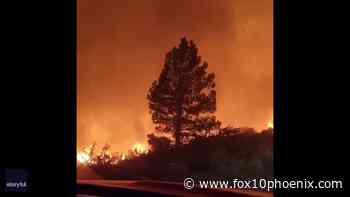 Fire tornado rages through Plumas National Forest in California - FOX 10 News Phoenix