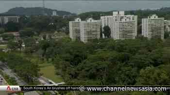 Plans for Ulu Pandan revised: A third of Dover Forest set aside for public housing, nature park to be established | Video - CNA