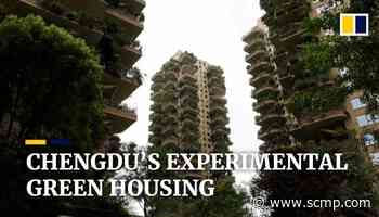 China's 'vertical forest' residential complex offers urban green living - South China Morning Post