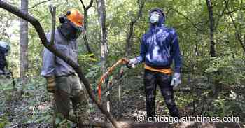 Cook Forest Preserve youth program aims to diversify conservation workforce - Chicago Sun-Times
