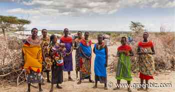 These 550 Kenyan women are saving a forest | Greenbiz - GreenBiz