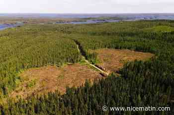 La Finlande subit son plus grand feu de forêt depuis 50 ans