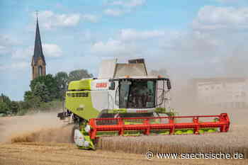 Riesa: Unterwegs mit dem Erntekapitän im Elbland - Sächsische.de