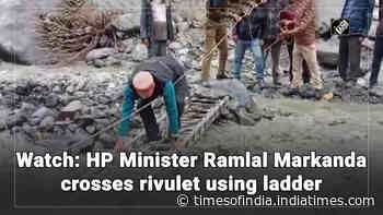 Watch: HP Minister Ramlal Markanda crosses rivulet using ladder
