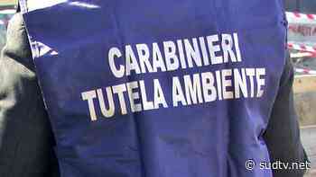 Scarti tessili da Prato a Salerno: 25 avvisi di conclusione indagini - SUD TV - SudTv