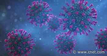 Breakthrough COVID infections in fully vaccinated people aren't so rare, CDC says     - CNET