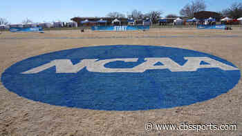 Overhaul of NCAA to begin with constitutional convention in November