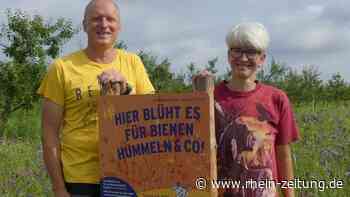 Es blüht für Bienen und Co.: Führungen durch bunte Blütenpracht - Rhein-Zeitung