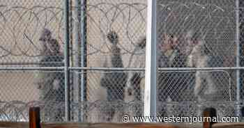 Revealed: Federal Government Paid Prisoners Hundreds of Millions in Stimulus Checks Thanks to Democrats