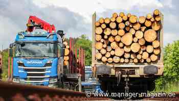 Holzpreis: Bauholz in Deutschland teuer trotz Preisrutsch in USA