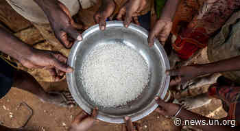 Conflict, COVID, climate crisis, likely to fuel acute food insecurity in 23 'hunger hotspots' - UN News