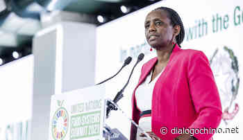 Can the World Food Systems Summit deliver security and sustainability? - Diálogo Chino