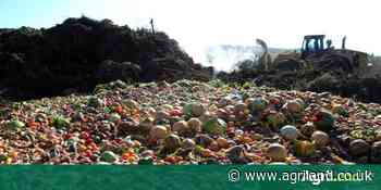 Walmart Foundation funds food waste trials with WRAP - Agriland.co.uk