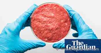 Man v food: is lab-grown meat really going to solve our nasty agriculture problem? - The Guardian