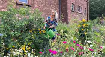 Urban Gardening in Karlsruhe: Öffentliche Flächen werden zu Nutzgärten - BNN - Badische Neueste Nachrichten