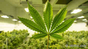 New lawsuit filed against Oklahoma Medical Marijuana Authority - KOKH FOX25