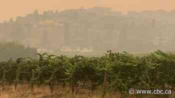 Smoke headed for Metro Vancouver, Stanley Park closed overnight as 241 wildfires burn across B.C.