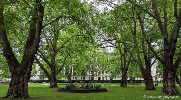 London’s Pocket Parks: Prince’s Gardens, SW7