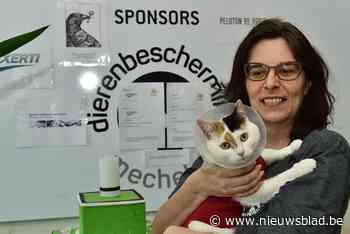 “Weer reizen is zeker een factor om van hun huisdier af te geraken”