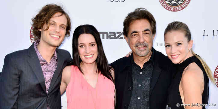 Paget Brewster Shares Update About Paramount+'s 'Criminal Minds' Reboot