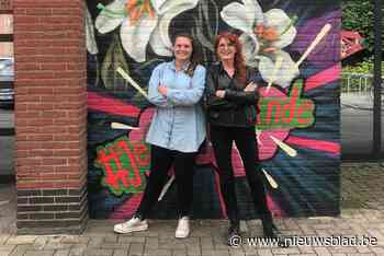 Lokale kunstenaars fleuren gemeente op met Reynaert-streetar... (Sint-Gillis-Waas) - Het Nieuwsblad