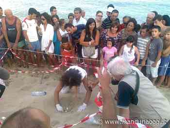 MANDURIA - Depuratore consortile, l'appello social di Francesco Di Lauro: «Contrastiamo questo nefasto progetto» - ManduriaOggi