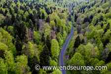 Policy briefing: What's in the new EU Forest Strategy? - ENDS Europe