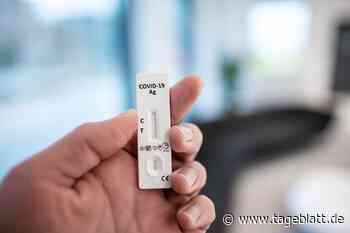 Wieder unter Bundesschnitt: Sieben-Tage-Inzidenz in Niedersachsen stagniert - Landkreis Stade - Tageblatt-online